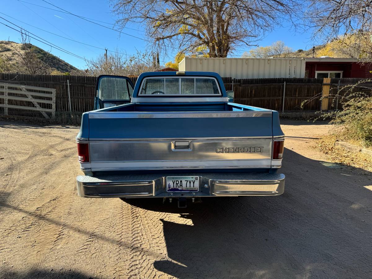 Chevrolet-C10-1979-9