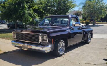 Chevrolet-C10-cheyenne-1977-10