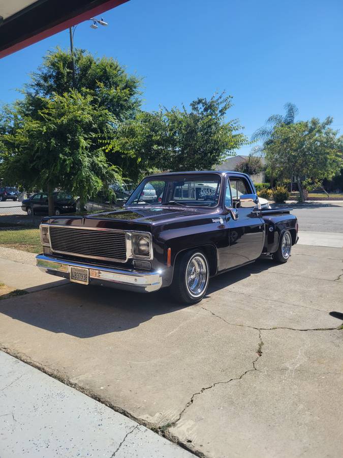 Chevrolet-C10-cheyenne-1977-10