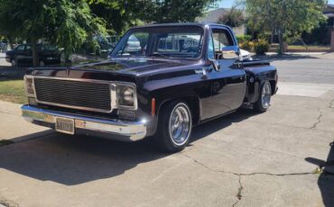 Chevrolet-C10-cheyenne-1977-11