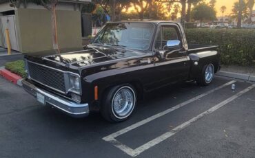 Chevrolet-C10-cheyenne-1977-7