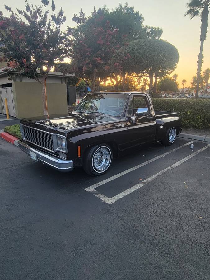 Chevrolet-C10-cheyenne-1977-7