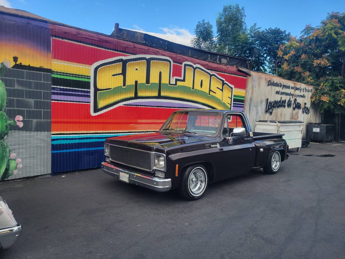 Chevrolet-C10-cheyenne-1977-8