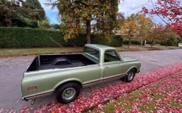 Chevrolet-C10-pickup-1969-4