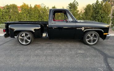 Chevrolet-C10-truck-1981-1