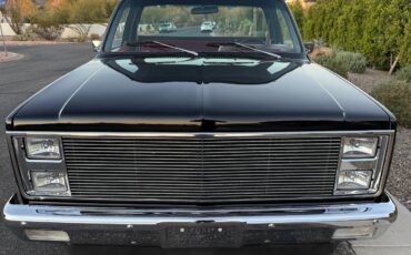 Chevrolet-C10-truck-1981-6