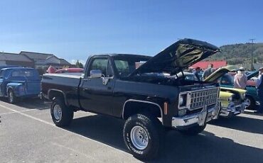 Chevrolet-C10K10-1976-1