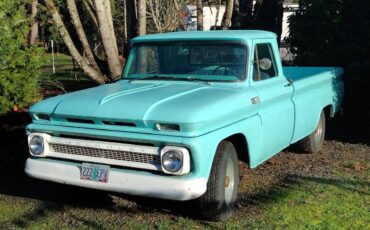 Chevrolet-C20-pickup-1965-2