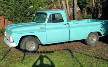 Chevrolet-C20-pickup-1965-3