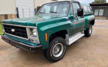 Chevrolet-CK-Pickup-1500-1979-1