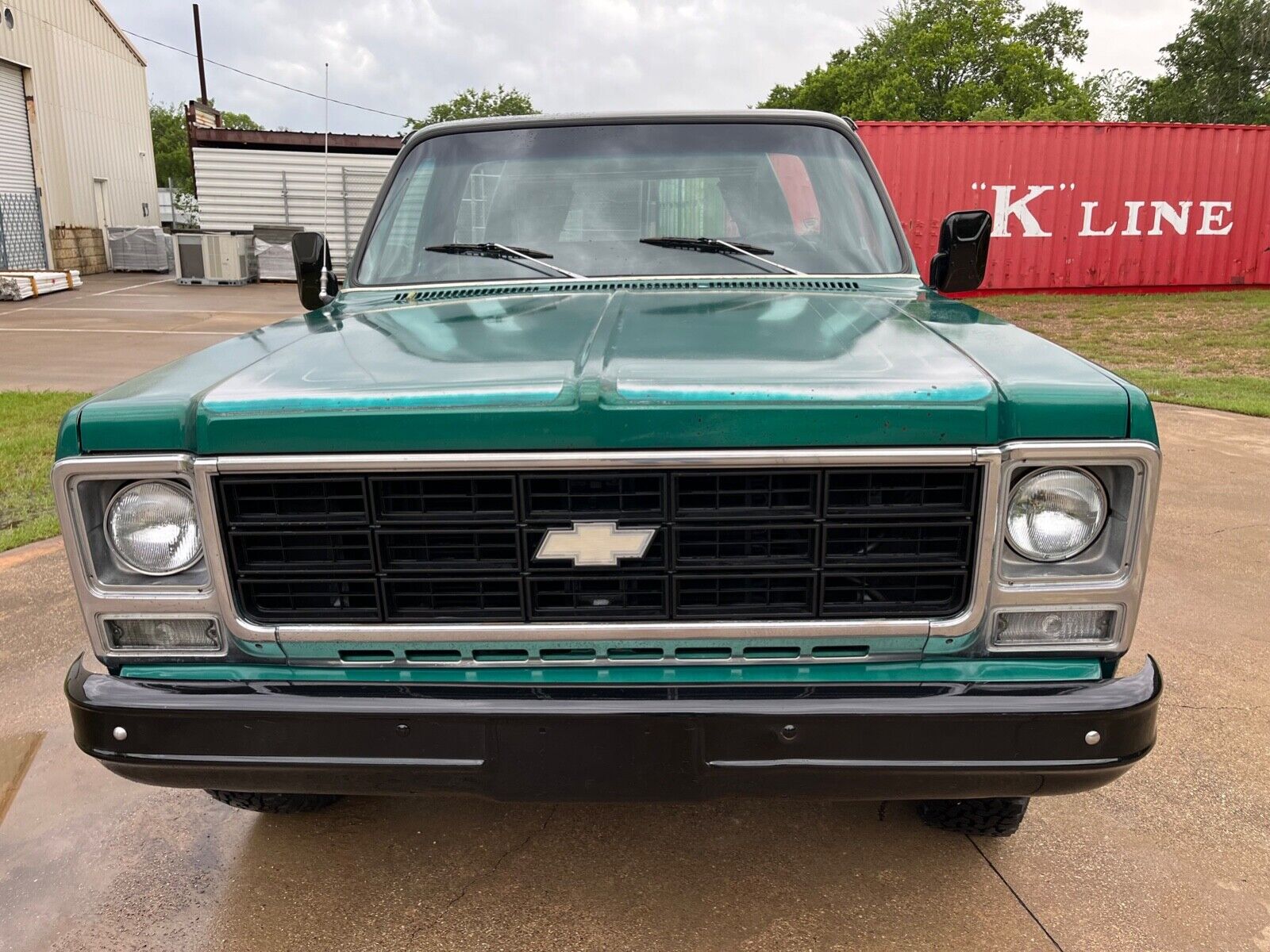 Chevrolet-CK-Pickup-1500-1979-2