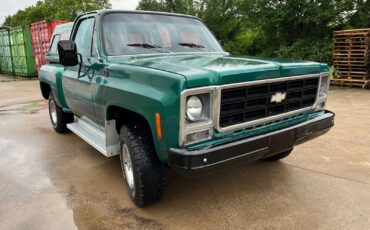 Chevrolet-CK-Pickup-1500-1979-3