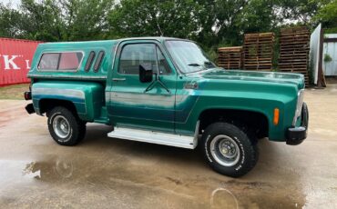 Chevrolet-CK-Pickup-1500-1979-4