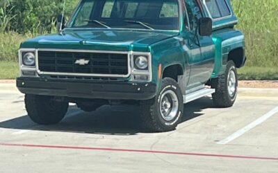 Chevrolet C/K Pickup 1500 1979