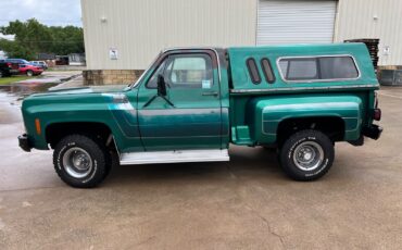 Chevrolet-CK-Pickup-1500-1979-5