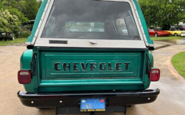 Chevrolet-CK-Pickup-1500-1979-7