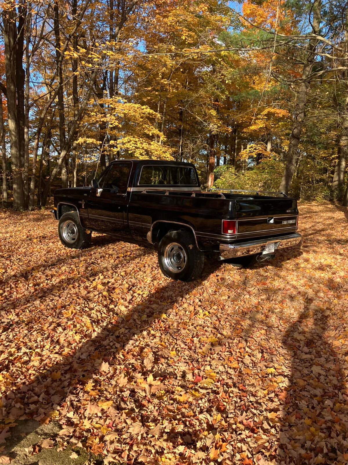 Chevrolet-CK-Pickup-1500-1985-16