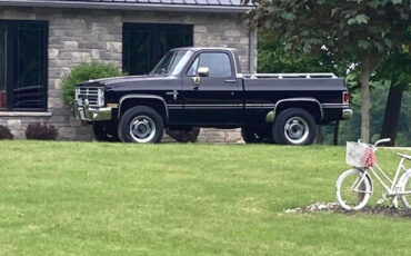 Chevrolet-CK-Pickup-1500-1985-6