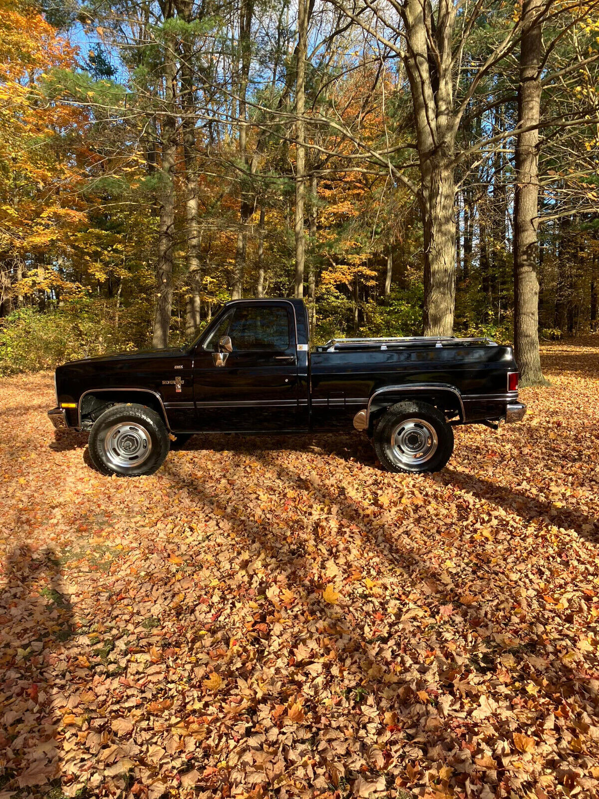 Chevrolet-CK-Pickup-1500-1985-7