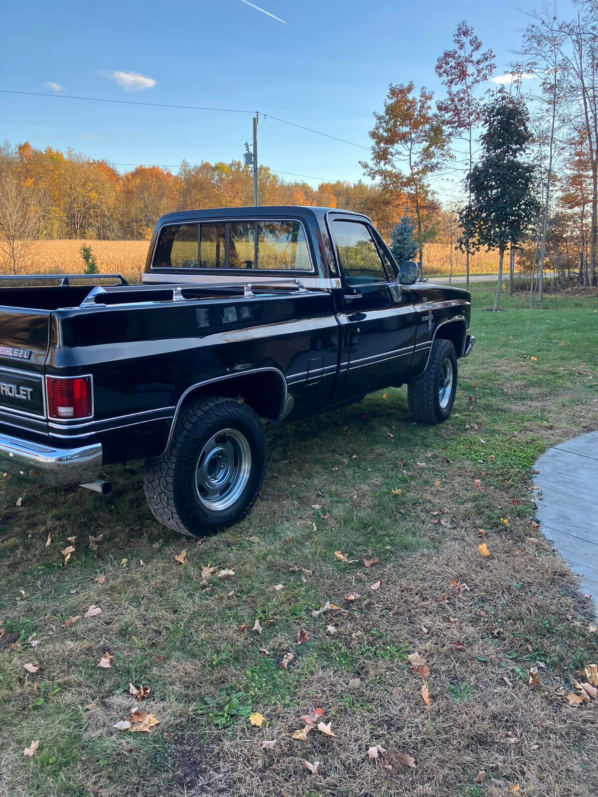 Chevrolet-CK-Pickup-1500-1985-8