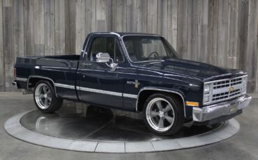 Chevrolet-CK-Pickup-1986-5