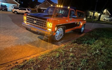 Chevrolet-CK-Pickup-2500-1979-15