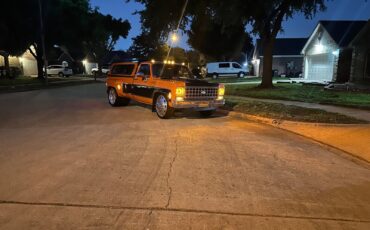 Chevrolet-CK-Pickup-2500-1979-16