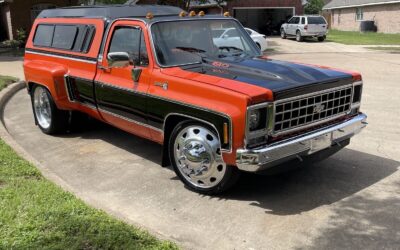 Chevrolet C/K Pickup 2500 1979