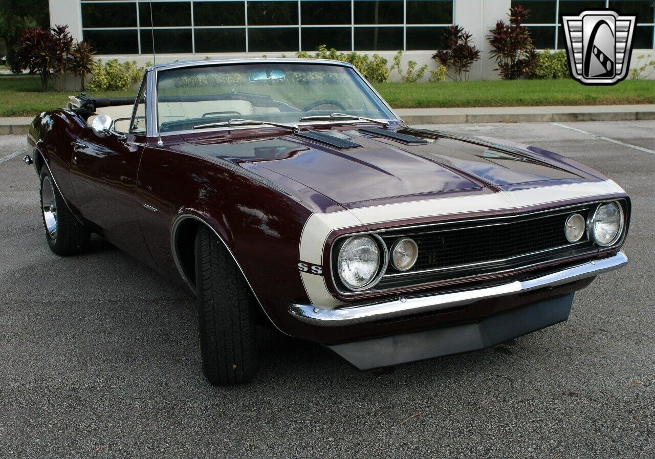 Chevrolet-Camaro-Cabriolet-1967-9