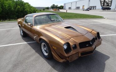 Chevrolet-Camaro-Coupe-1979-10