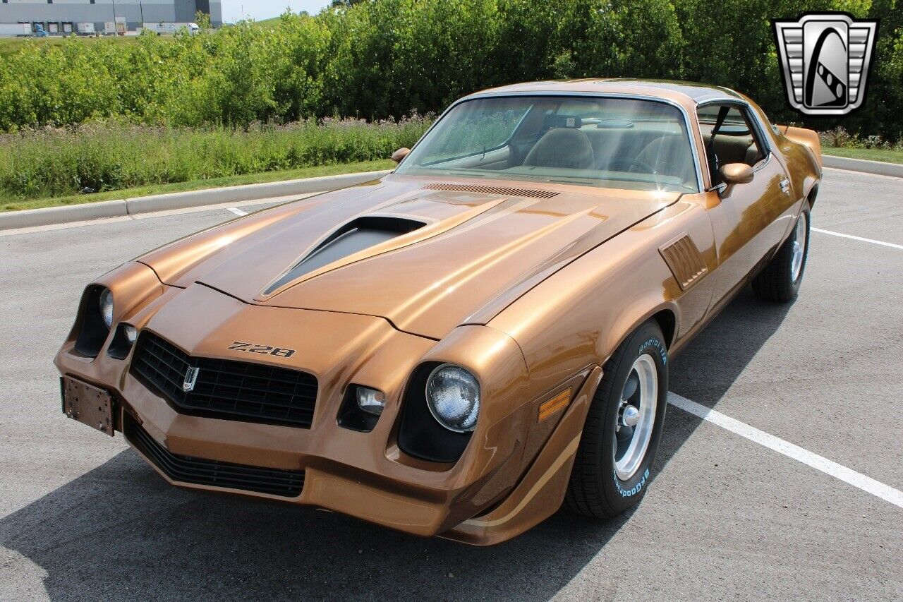 Chevrolet-Camaro-Coupe-1979-2