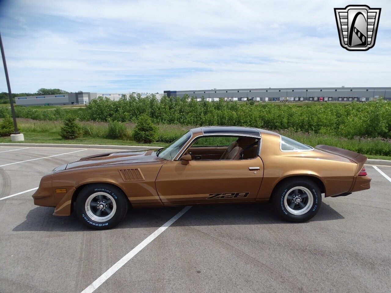 Chevrolet-Camaro-Coupe-1979-4