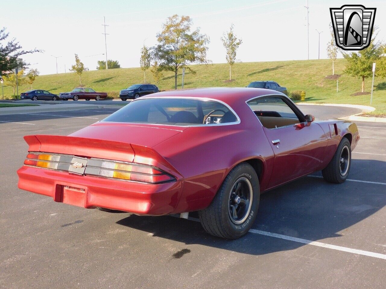 Chevrolet-Camaro-Coupe-1979-5