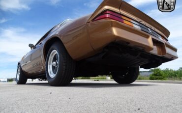 Chevrolet-Camaro-Coupe-1979-6