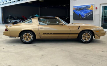 Chevrolet-Camaro-Coupe-1980-3