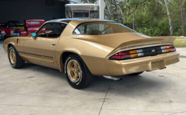 Chevrolet-Camaro-Coupe-1980-6