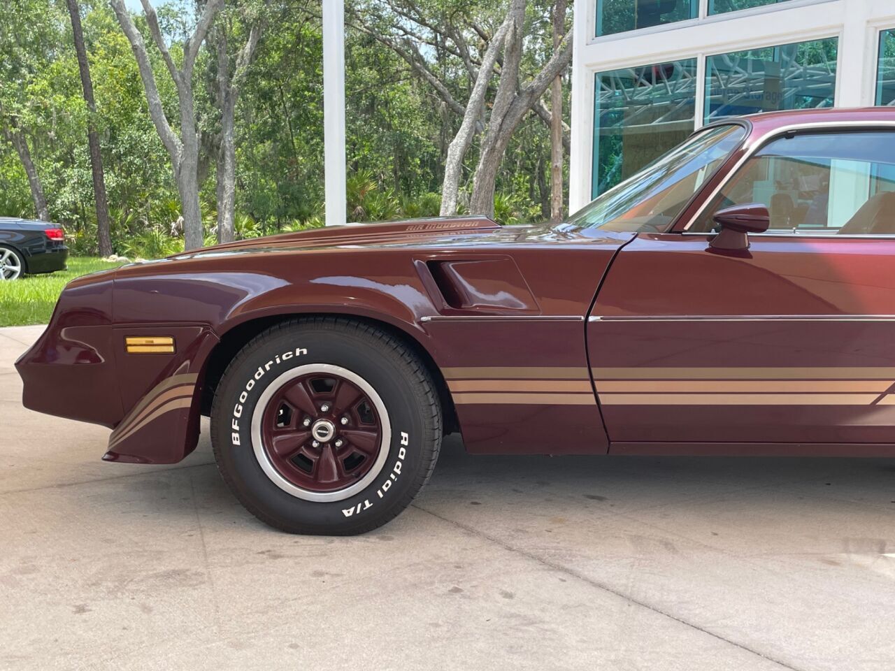 Chevrolet-Camaro-Coupe-1981-11