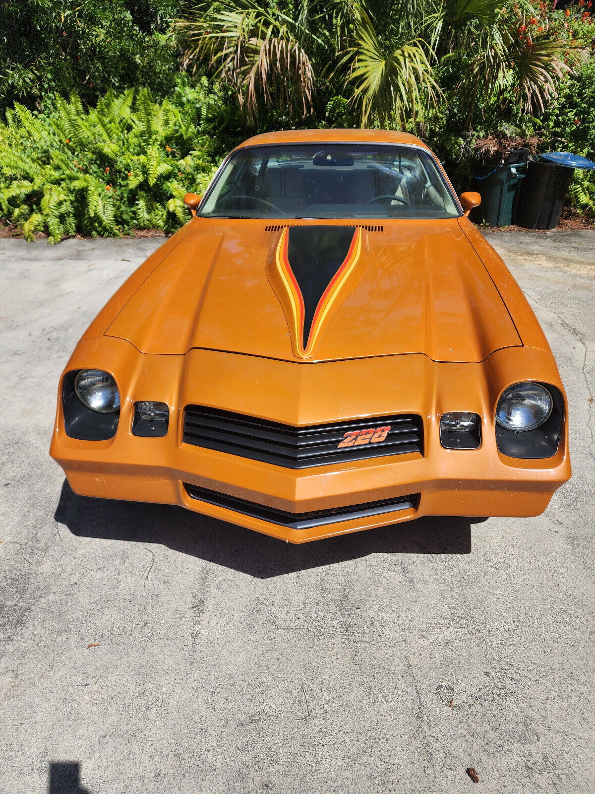 Chevrolet-Camaro-Coupe-1981-2