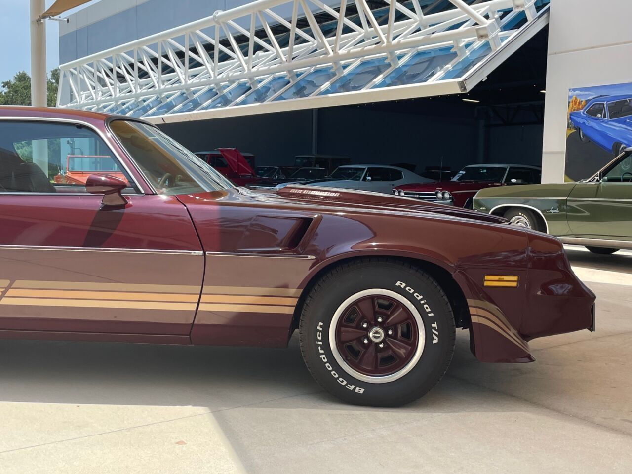 Chevrolet-Camaro-Coupe-1981-4