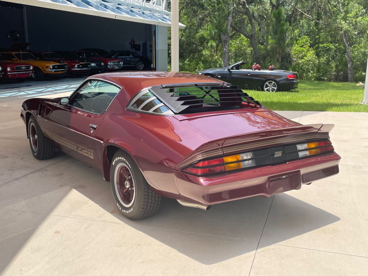 Chevrolet-Camaro-Coupe-1981-9