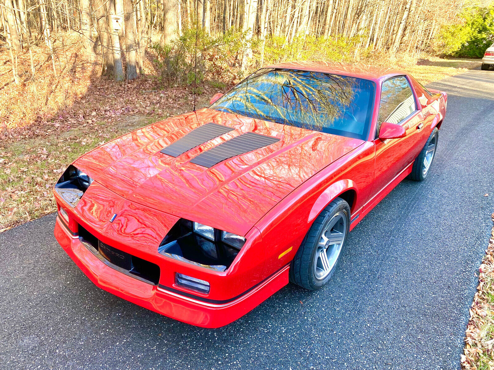 Chevrolet-Camaro-Coupe-1989-10