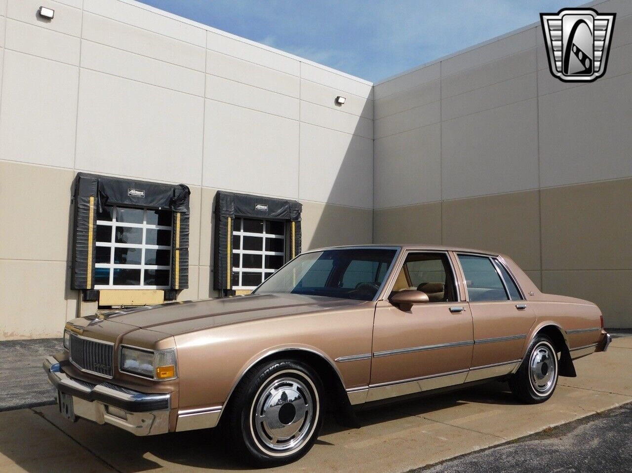 Chevrolet-Caprice-1989-6