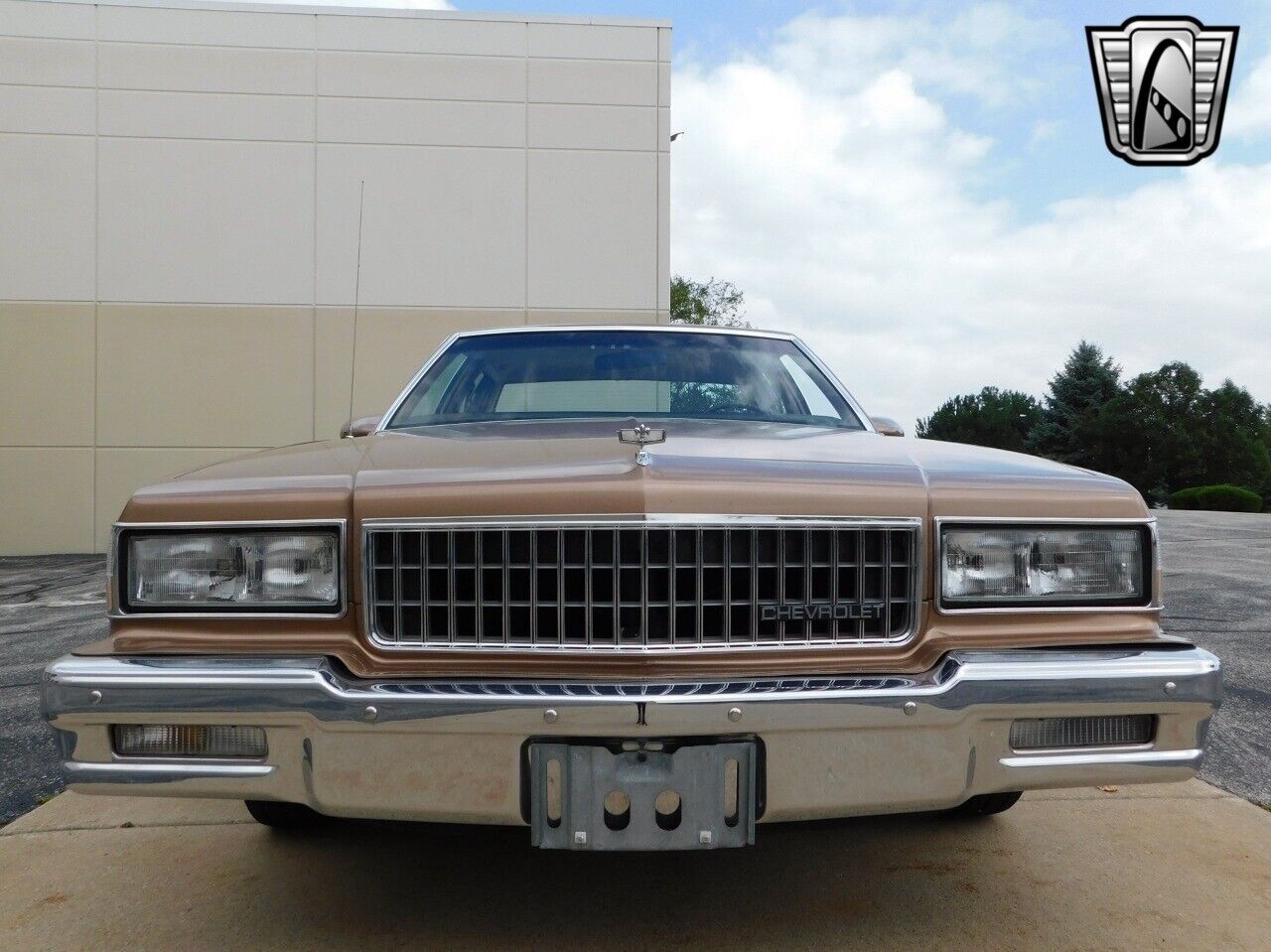 Chevrolet-Caprice-1989-7