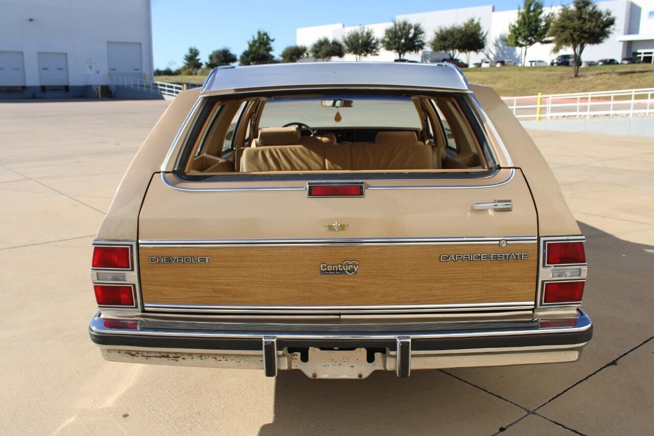 Chevrolet-Caprice-Cabriolet-1986-5