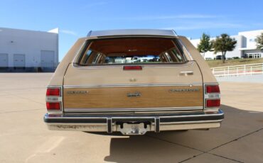 Chevrolet-Caprice-Cabriolet-1986-6