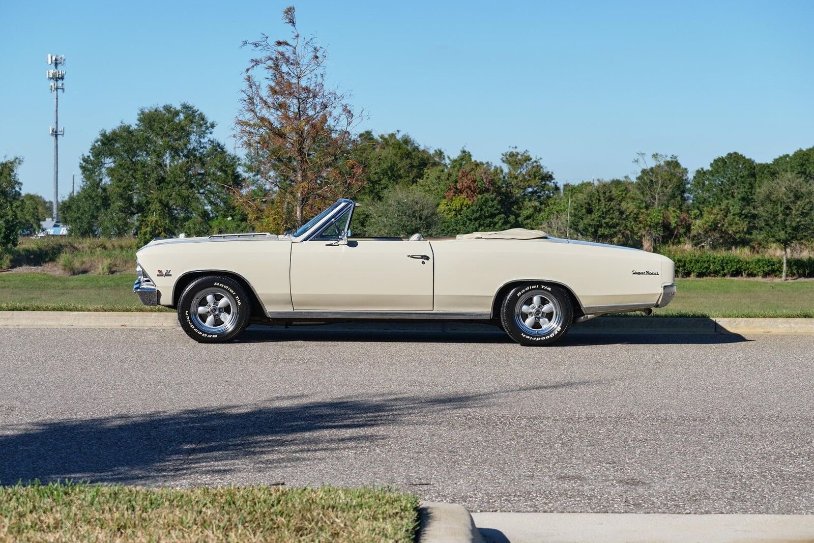 Chevrolet-Chevelle-1966-1