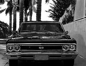 Chevrolet-Chevelle-1966-14