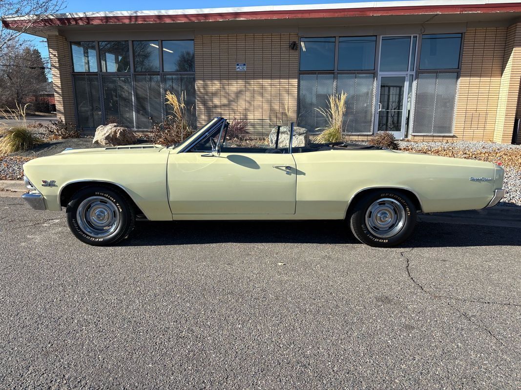 Chevrolet-Chevelle-1966-14