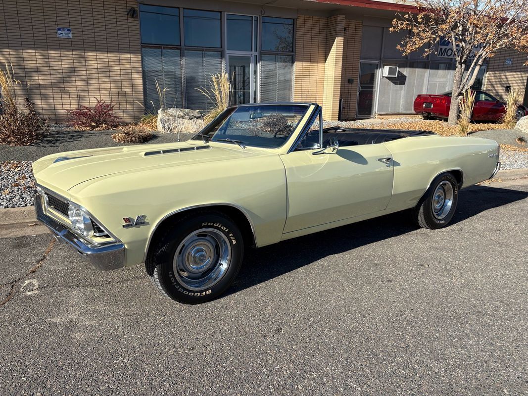 Chevrolet-Chevelle-1966-19