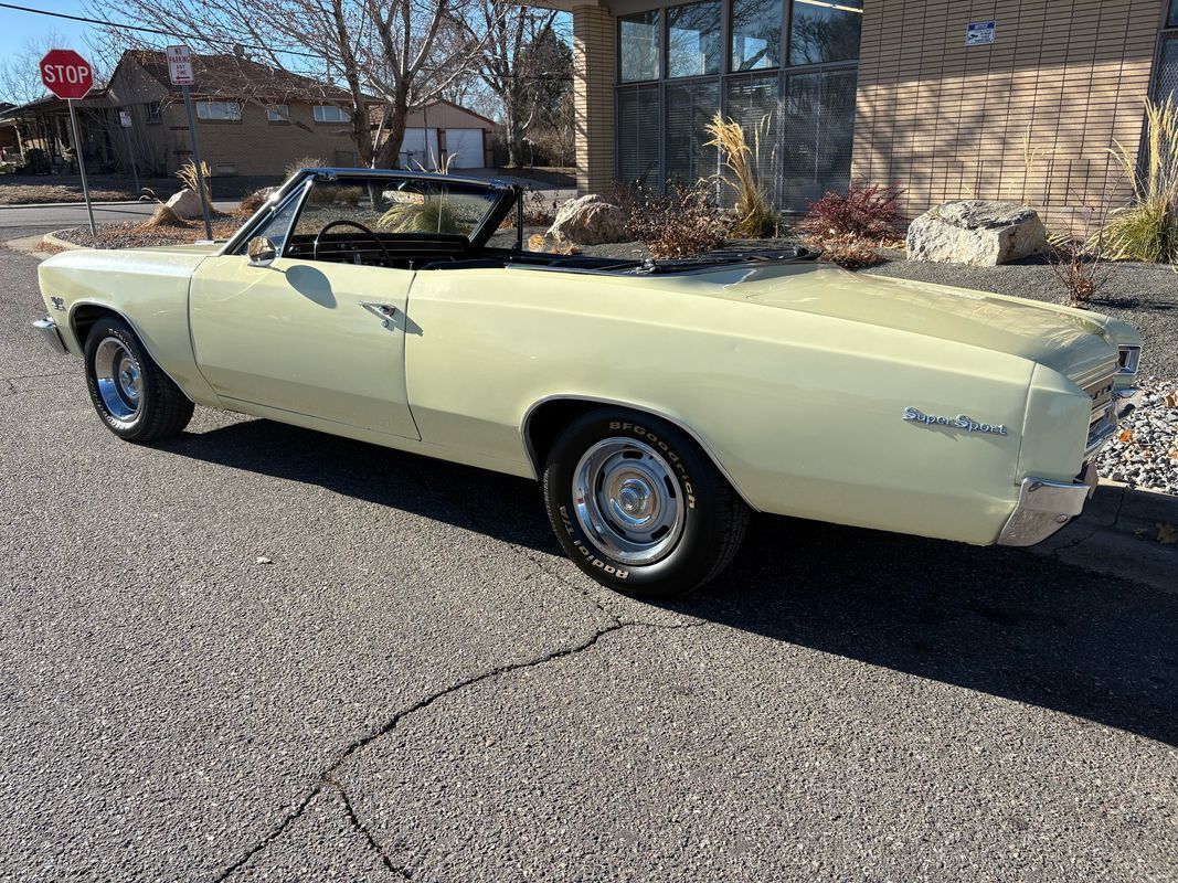 Chevrolet-Chevelle-1966-23